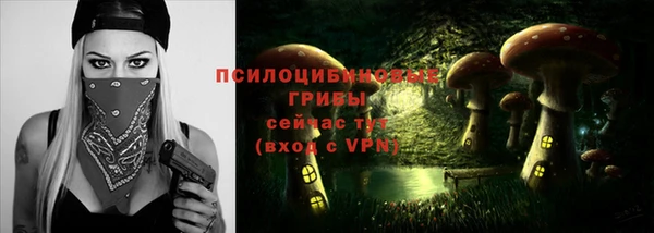 MDMA Premium VHQ Белокуриха